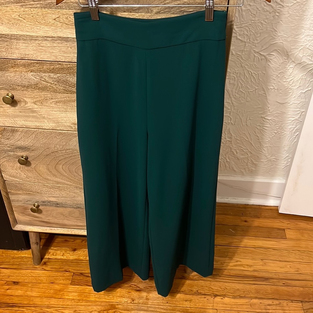 Zara green pants
